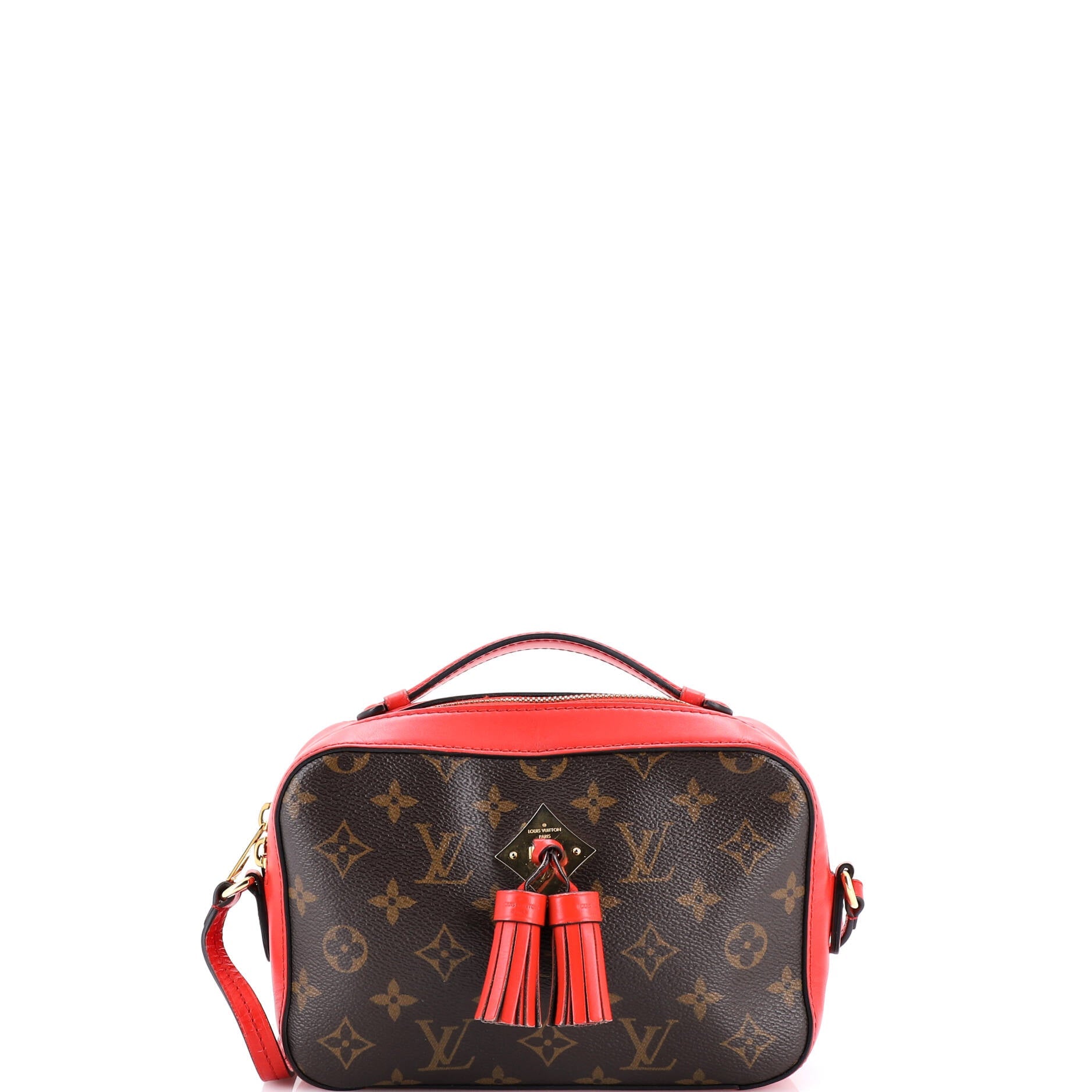 Saintonge Handbag Monogram Canvas with Leather