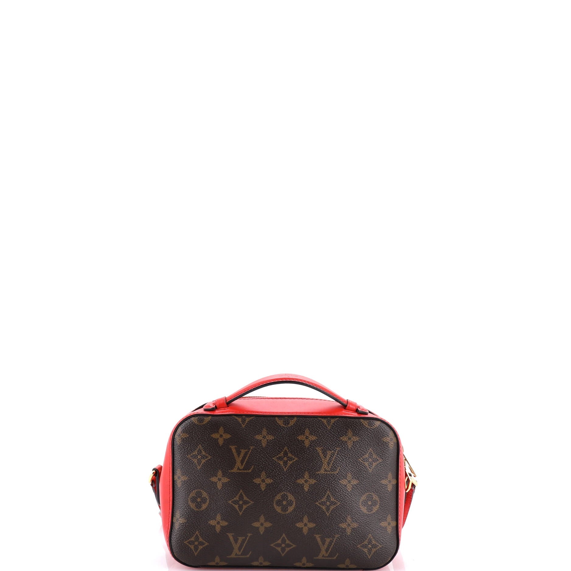 Saintonge Handbag Monogram Canvas with Leather