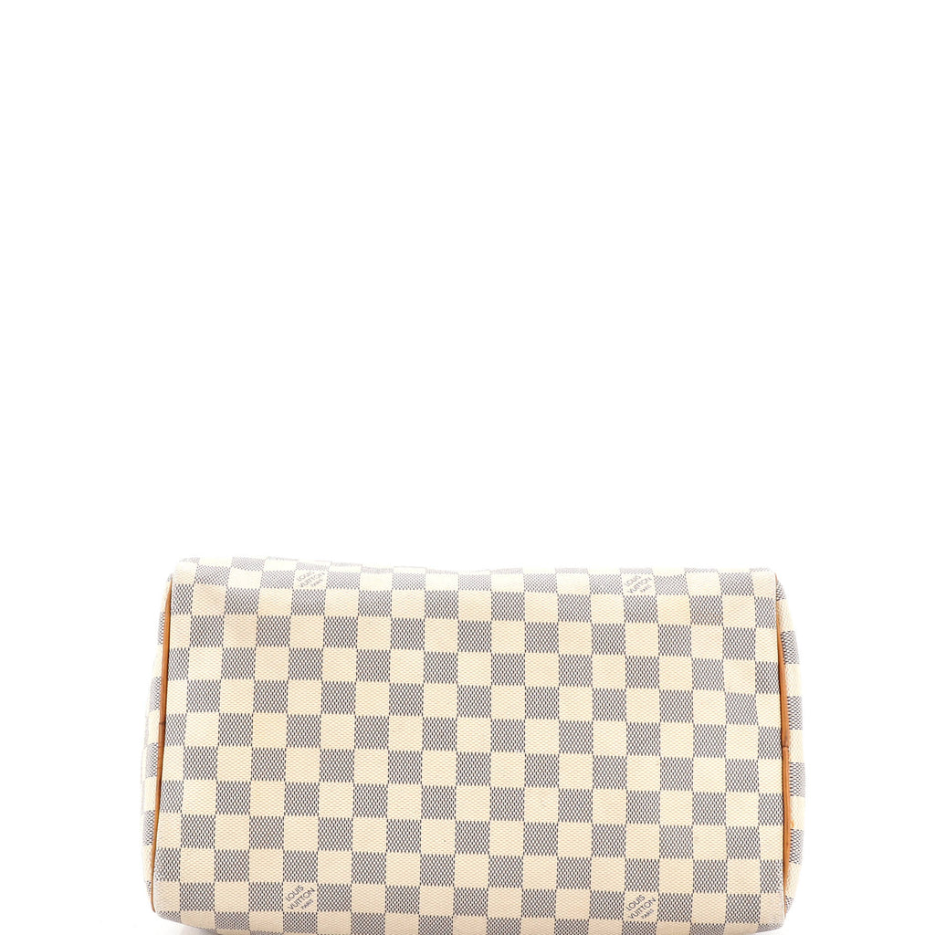 Speedy Handbag Damier 30