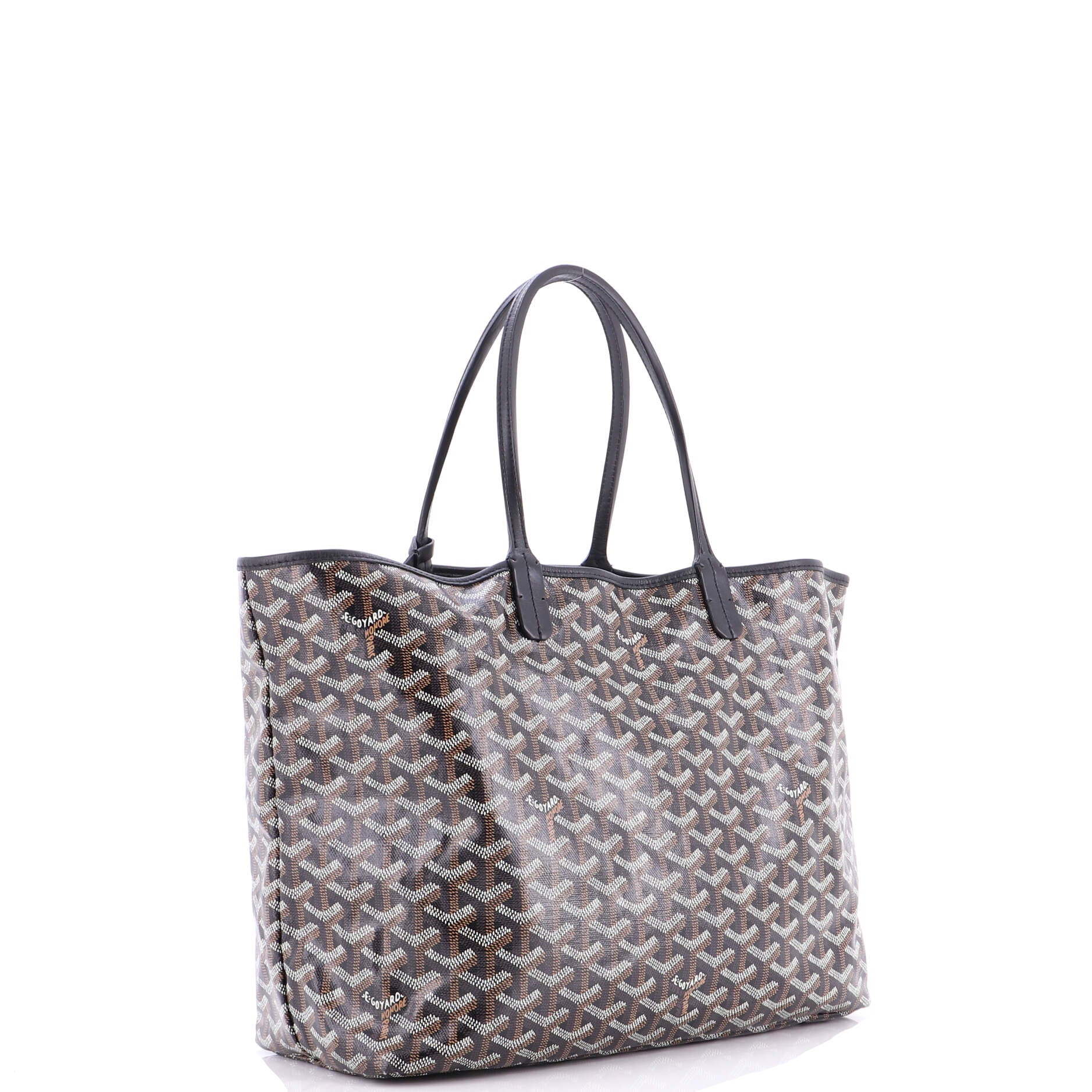 Saint Louis Tote Coated Canvas PM