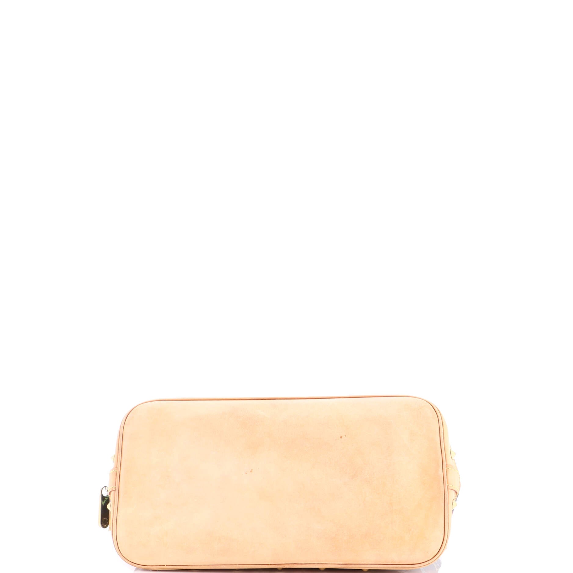Alma Handbag Monogram Multicolor PM