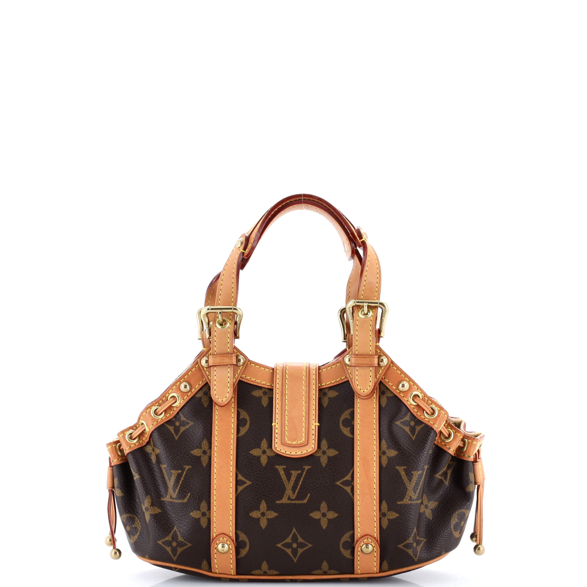 Theda Handbag Monogram Canvas PM