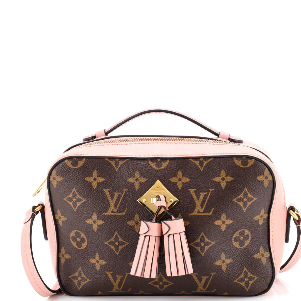 Saintonge Handbag Monogram Canvas with Leather