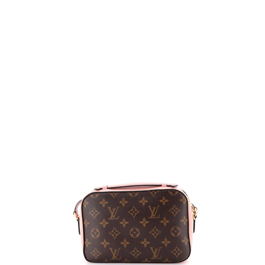 Saintonge Handbag Monogram Canvas with Leather
