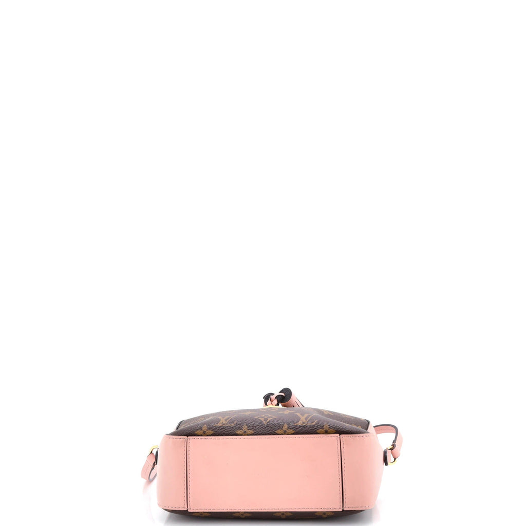 Saintonge Handbag Monogram Canvas with Leather