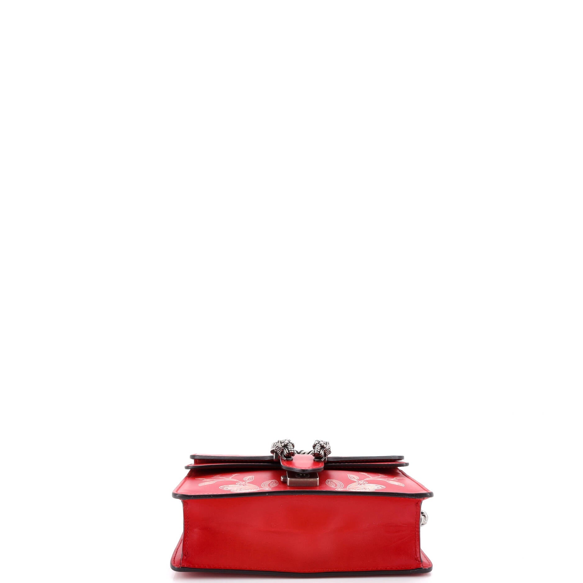 Dionysus Bag Limited Edition Painted Leather Mini