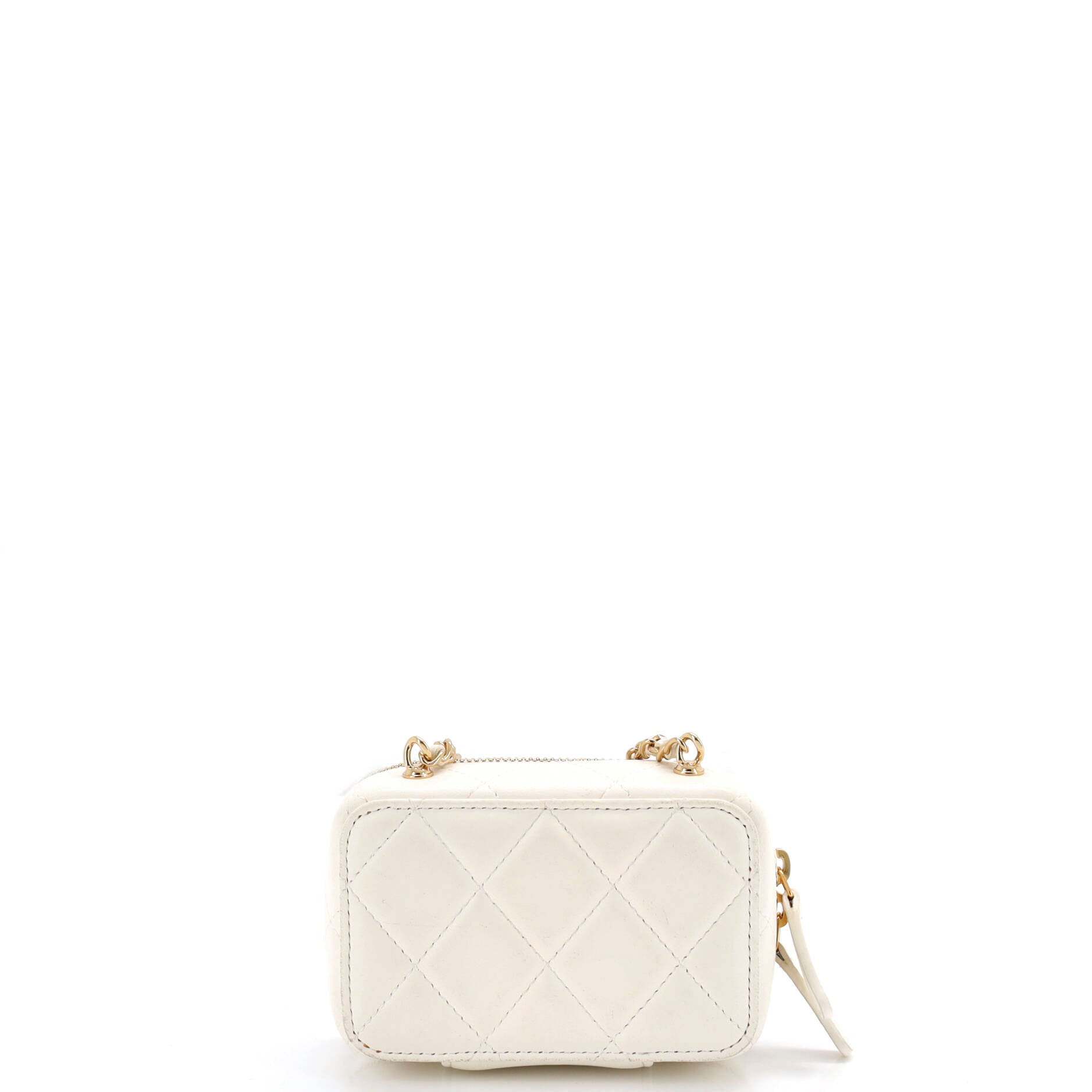 Golden Plate Zip Around Vanity Case with Chain Quilted Metal and Lambskin Extra Mini