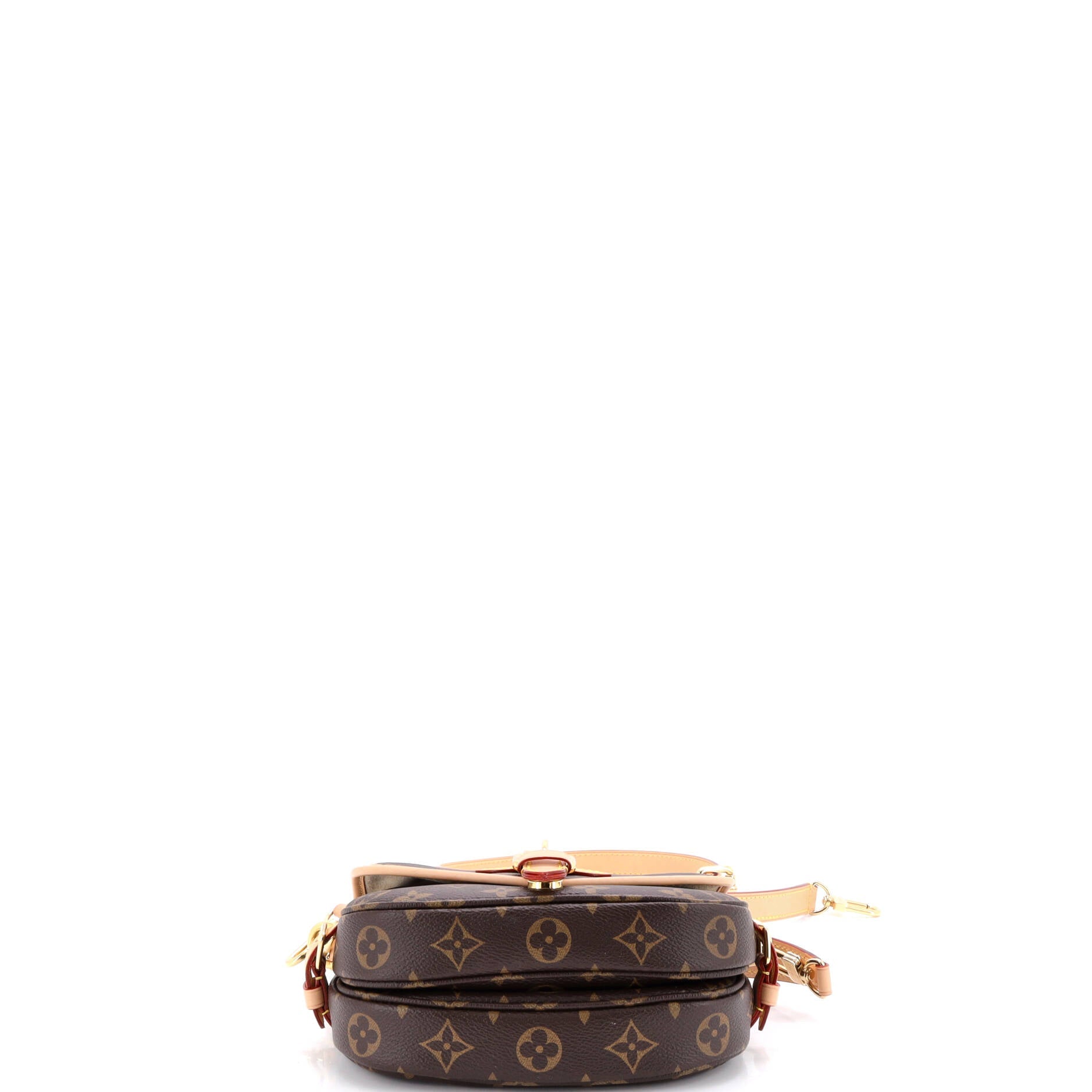Saumur Handbag Monogram Canvas BB