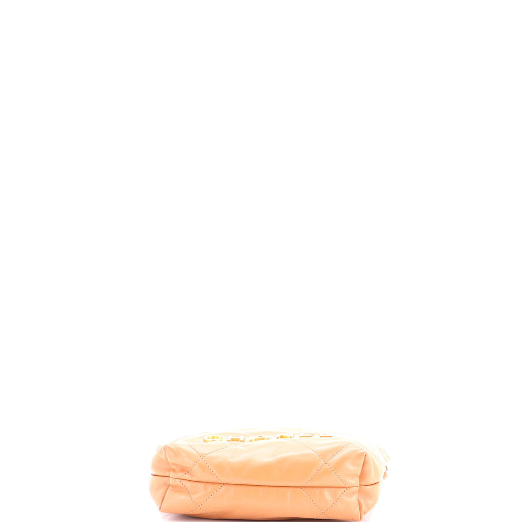 22 Chain Hobo Quilted Calfskin Mini