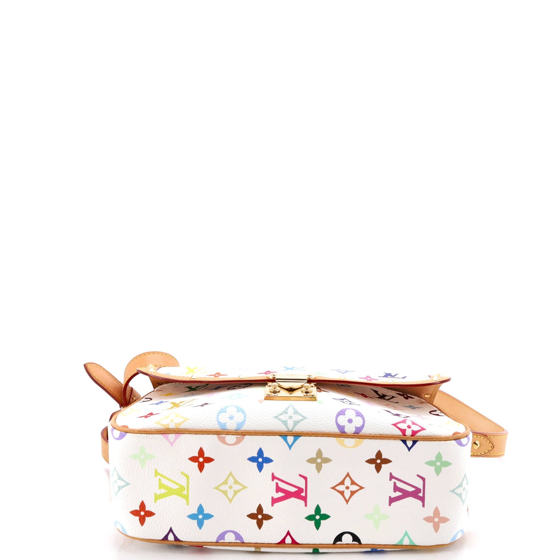 Sologne Handbag Monogram Multicolor