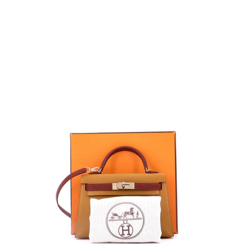 Kelly Mini II Bag Bicolor Chevre Mysore with Permabrass Hardware 20