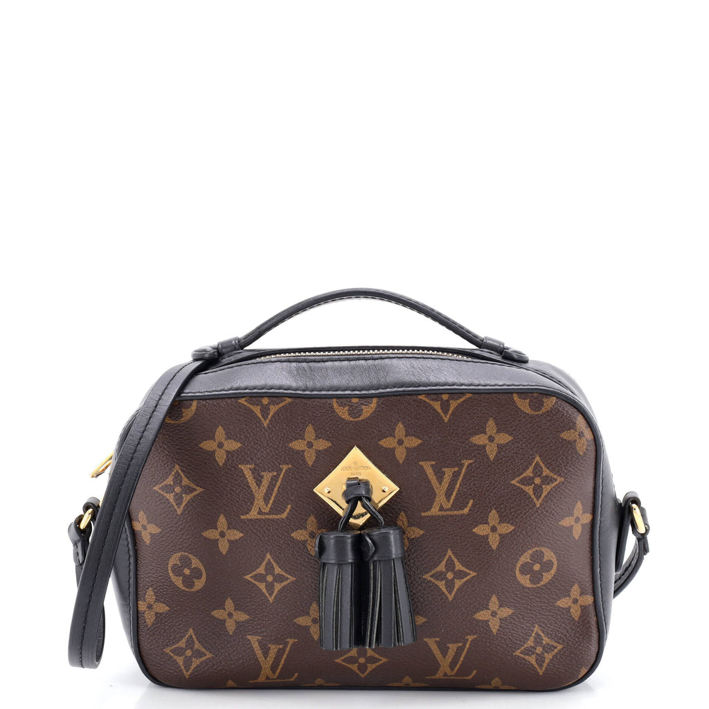 Saintonge Handbag Monogram Canvas with Leather