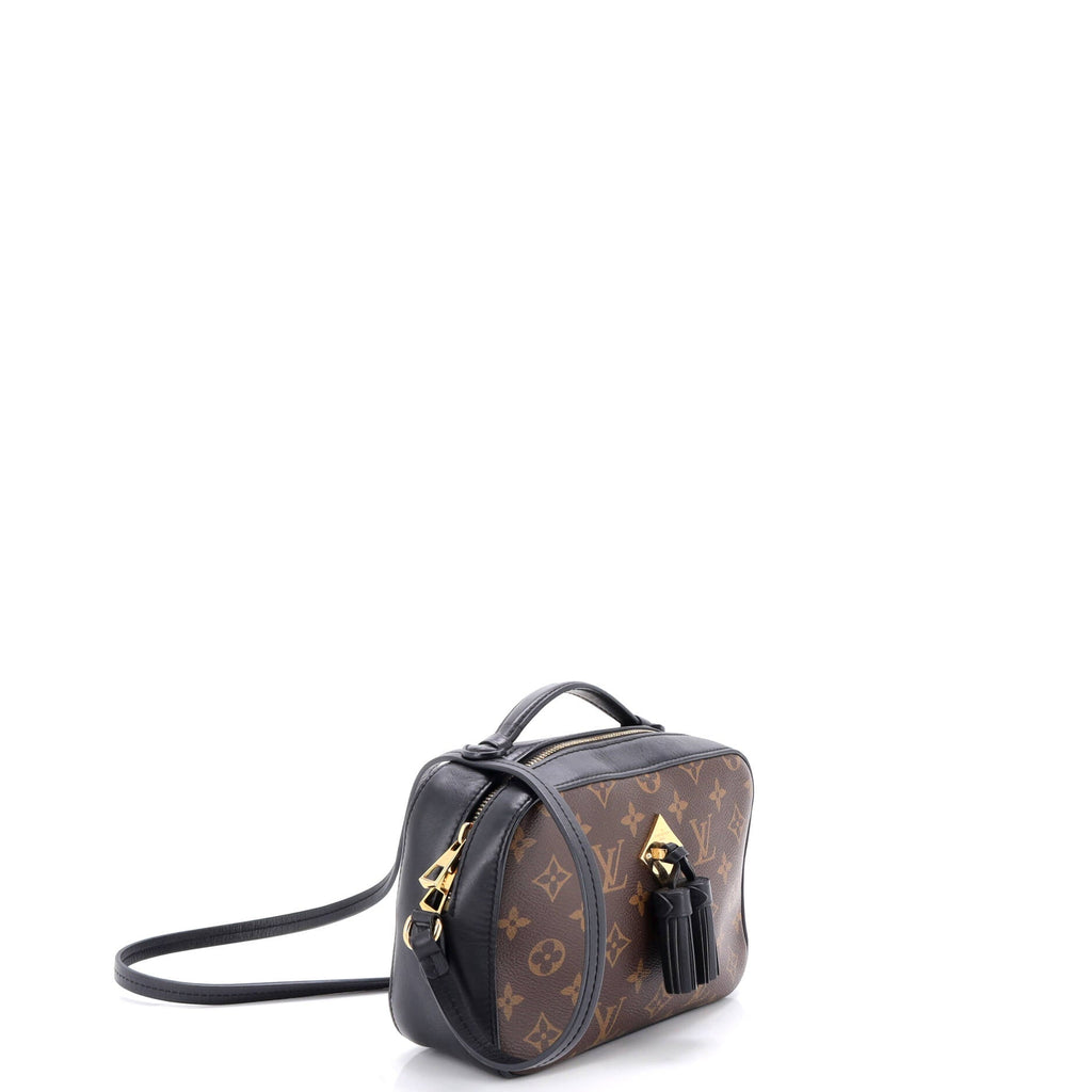 Saintonge Handbag Monogram Canvas with Leather