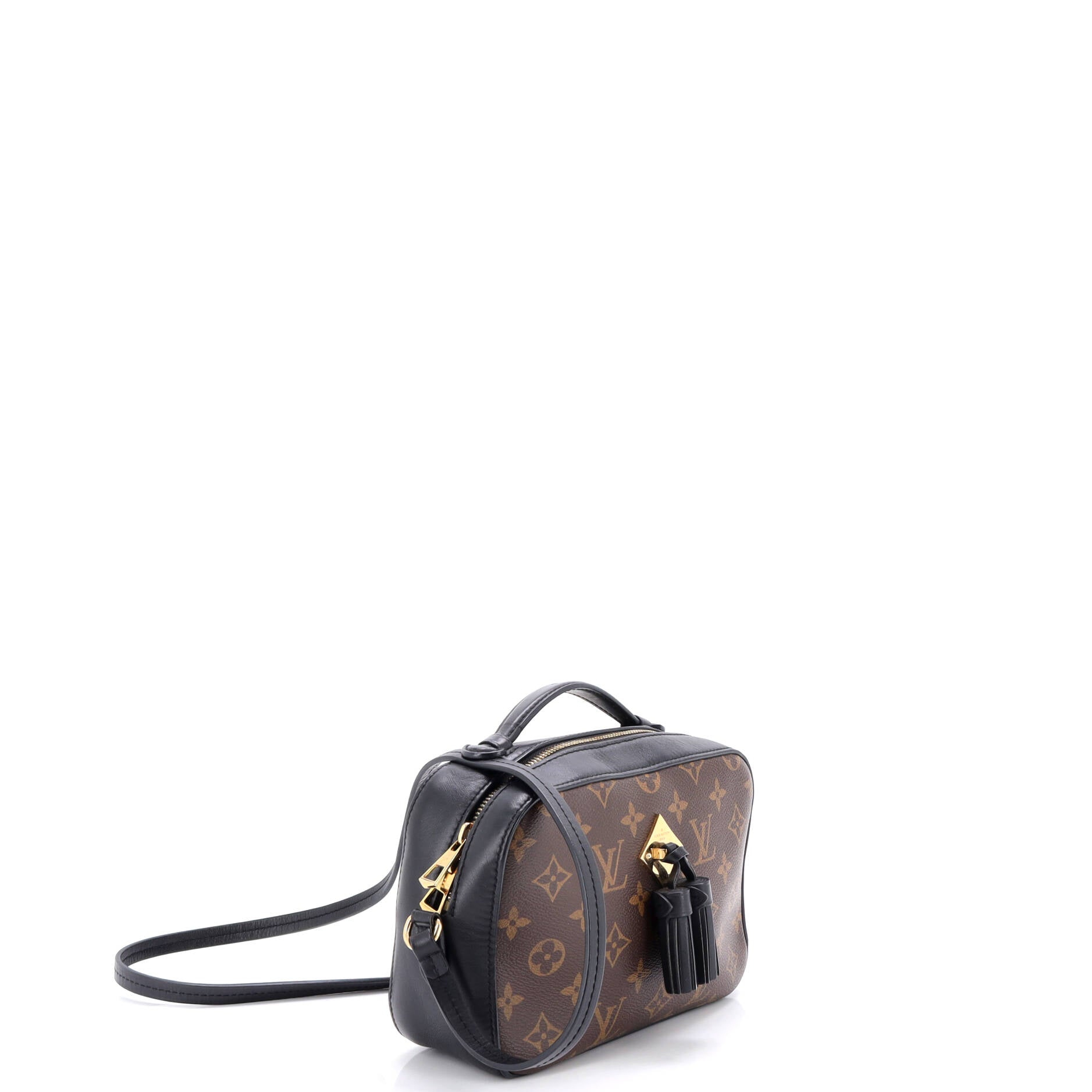 Saintonge Handbag Monogram Canvas with Leather