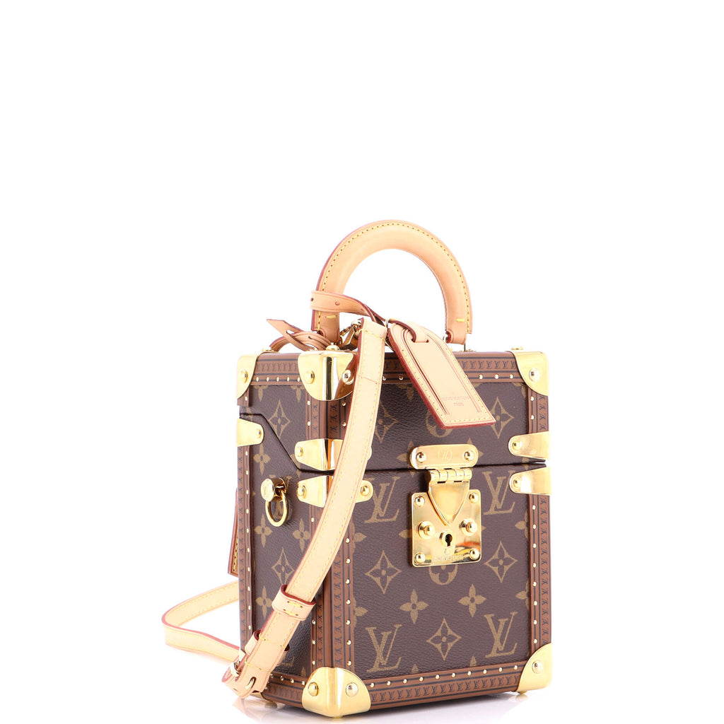 Camera Box Trunk Bag Monogram Canvas