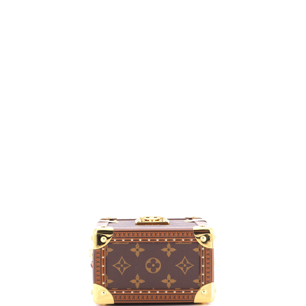 Camera Box Trunk Bag Monogram Canvas