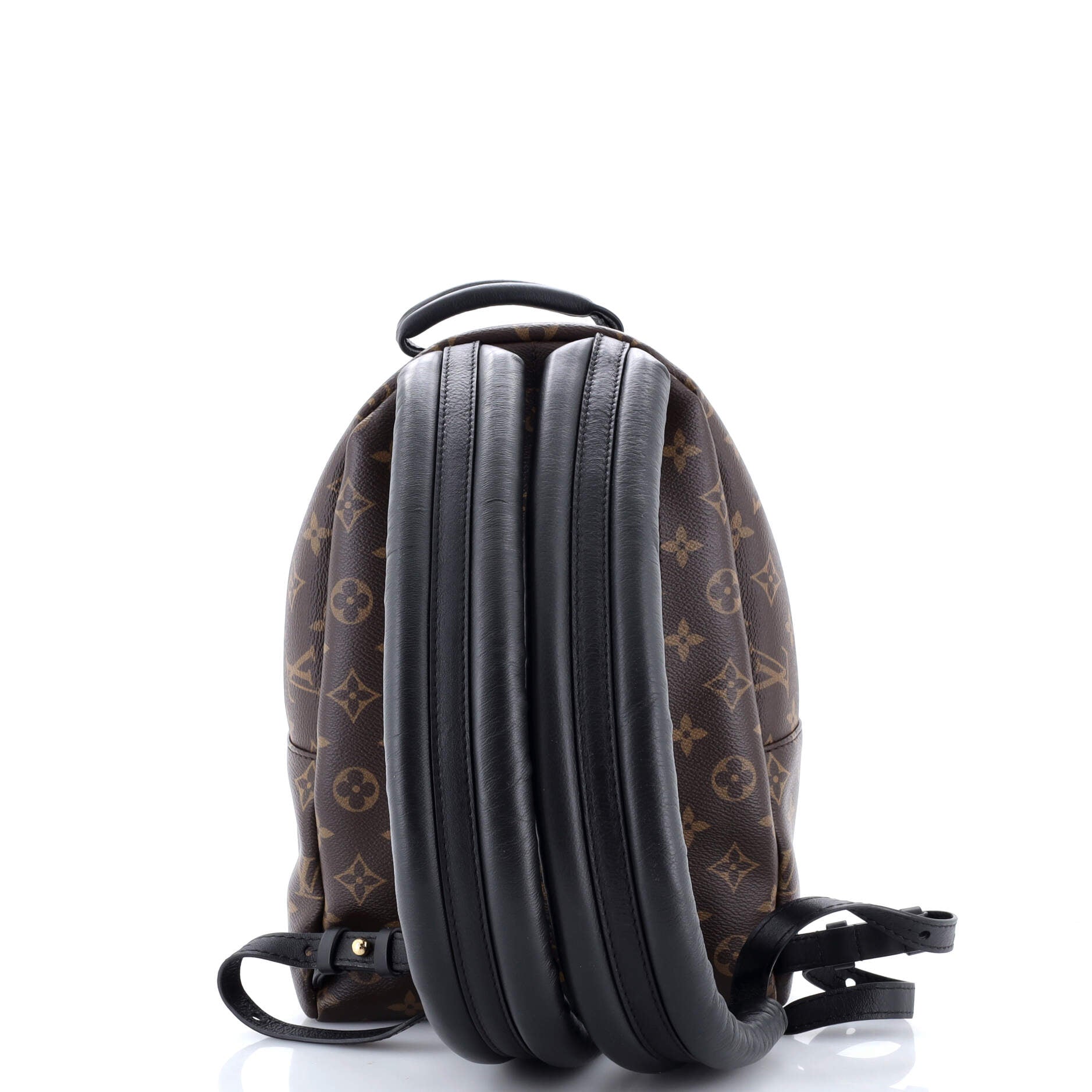 Palm Springs Backpack Monogram Canvas PM