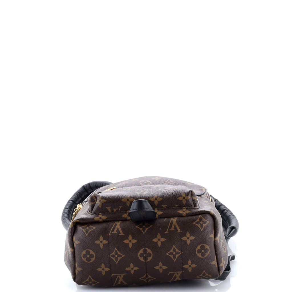 Palm Springs Backpack Monogram Canvas PM