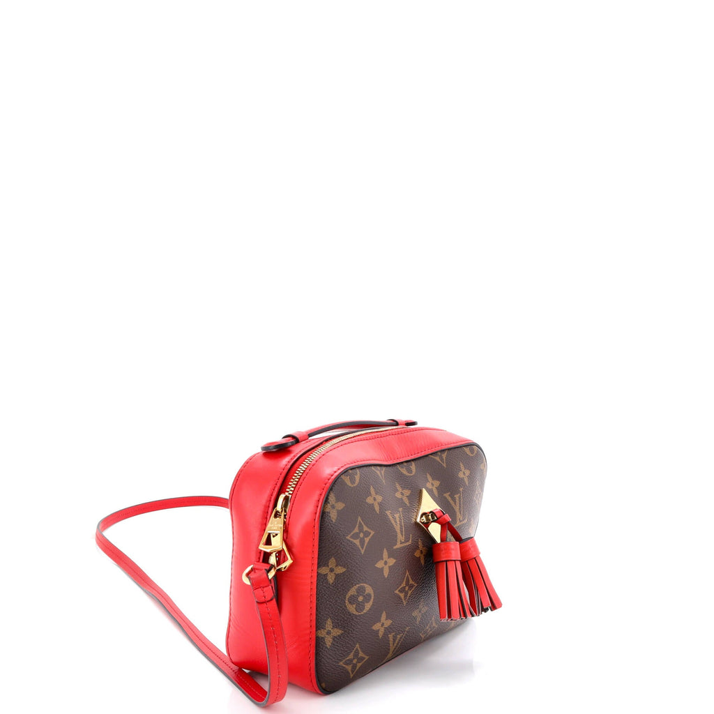 Saintonge Handbag Monogram Canvas with Leather