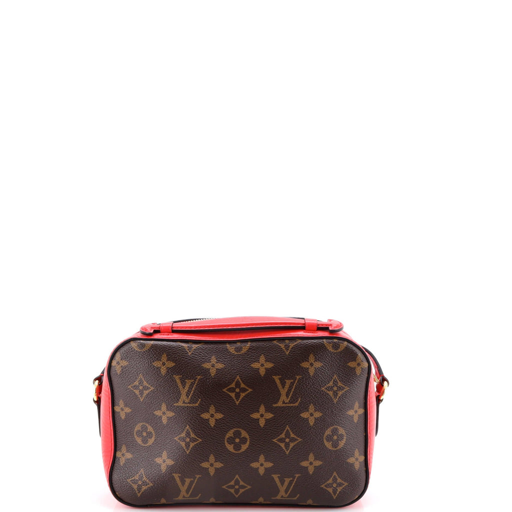 Saintonge Handbag Monogram Canvas with Leather