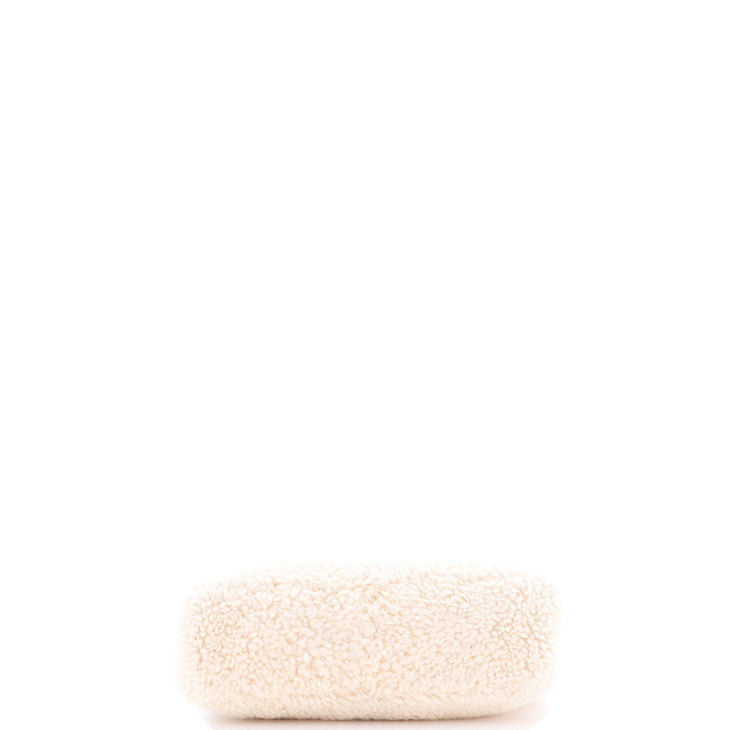 Re-Edition 2000 Hobo Shearling Mini