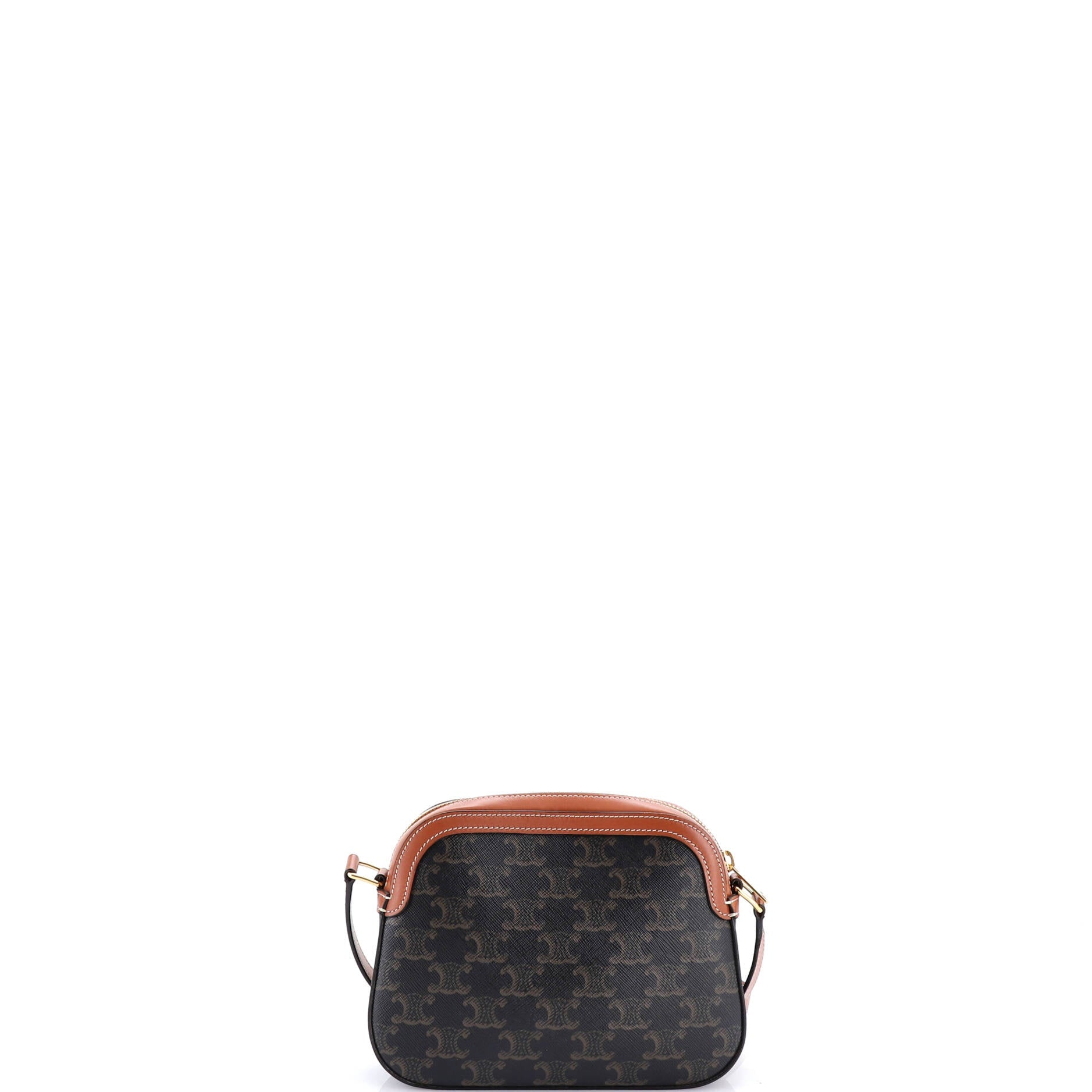 Logo Camera Bag Printed Triomphe Coated Canvas Small
