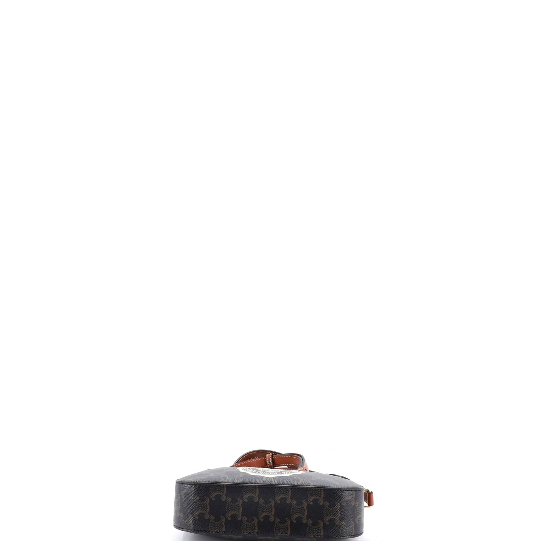 Logo Camera Bag Printed Triomphe Coated Canvas Small