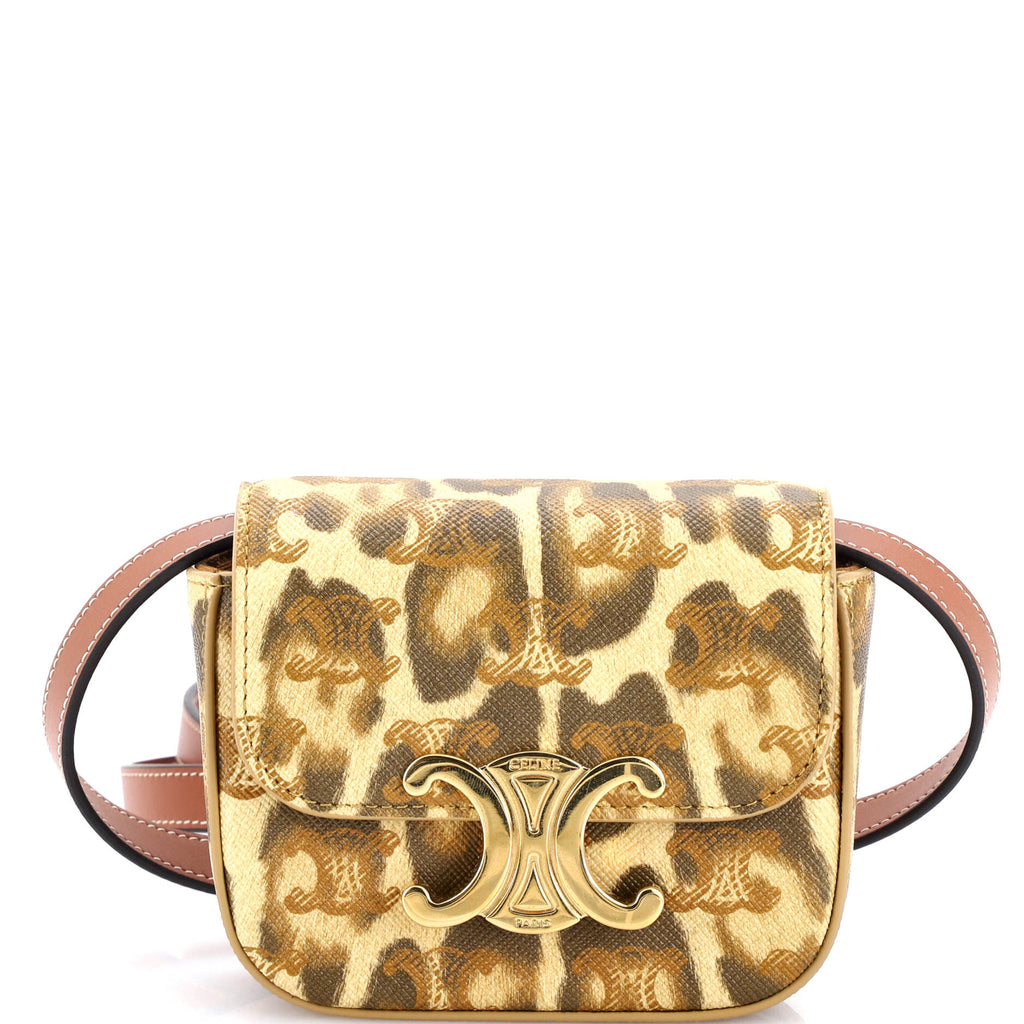 Claude Shoulder Bag Printed Triomphe Coated Canvas Mini