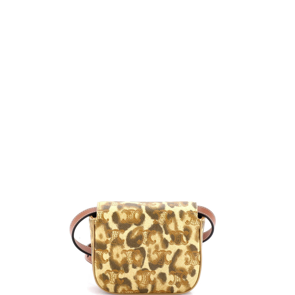 Claude Shoulder Bag Printed Triomphe Coated Canvas Mini