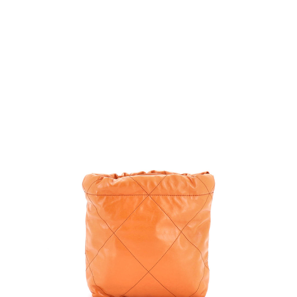 22 Chain Hobo Quilted Calfskin Mini