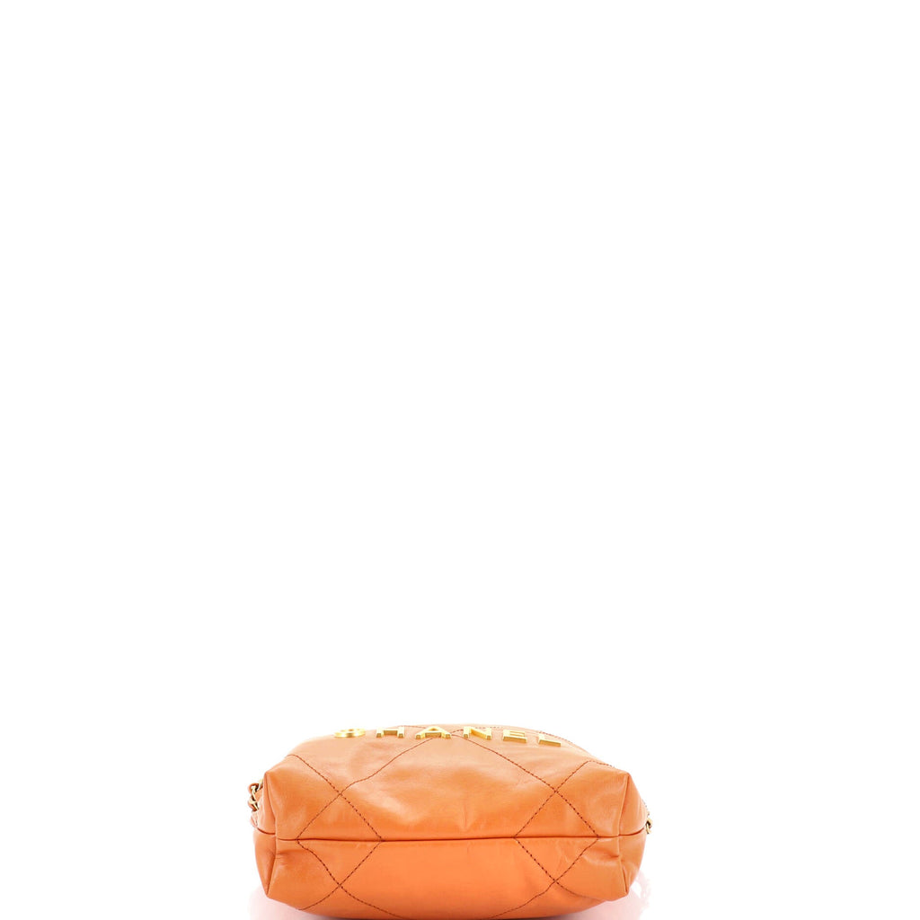 22 Chain Hobo Quilted Calfskin Mini