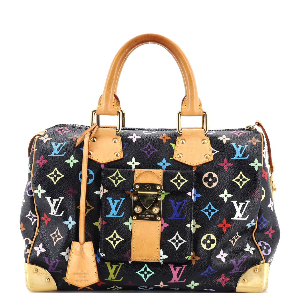 Speedy Handbag Monogram Multicolor 30
