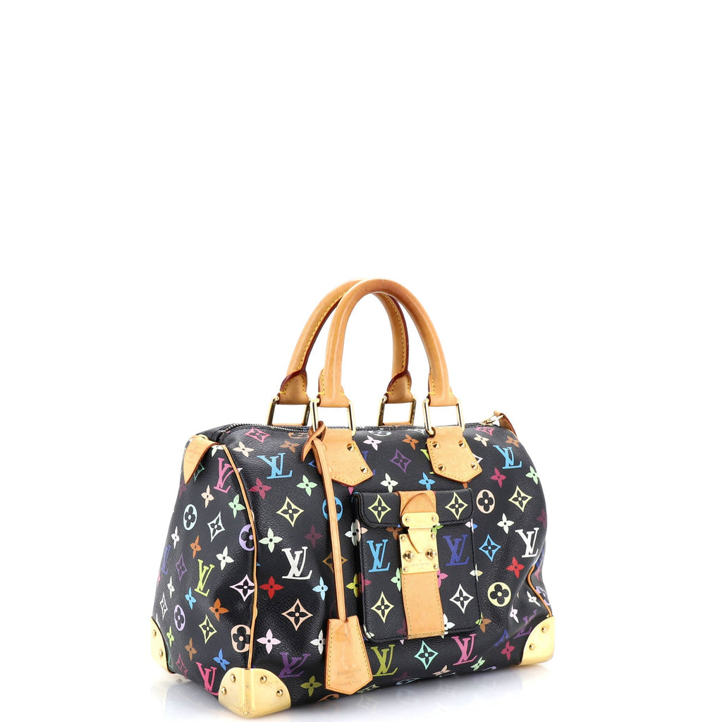 Speedy Handbag Monogram Multicolor 30