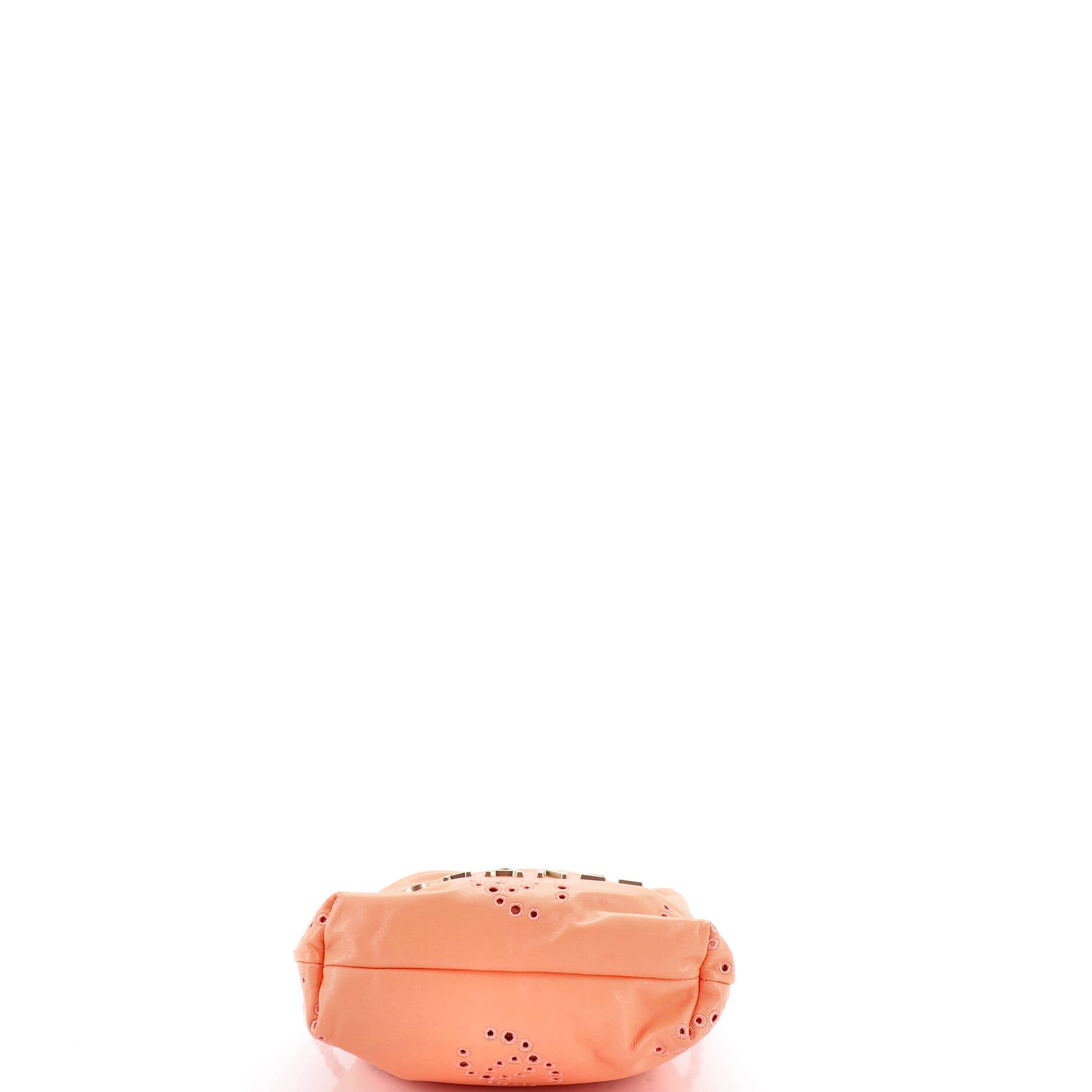 22 Chain Hobo CC Eyelet Embroidered Calfskin Mini
