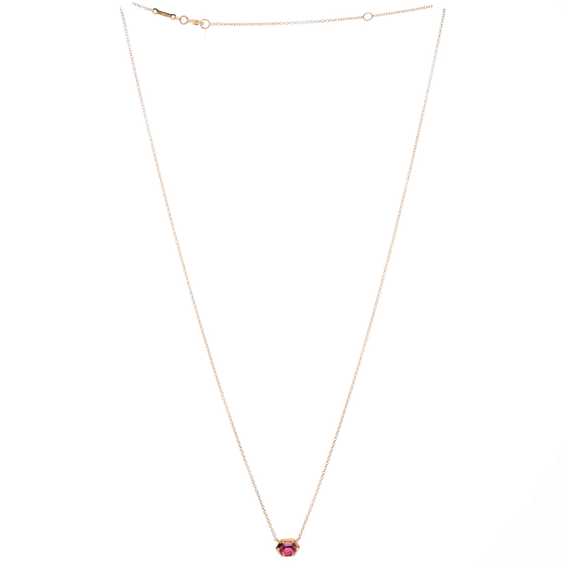 Paloma's Studio Hexagon Pendant Necklace 18K Yellow Gold with Rubellite
