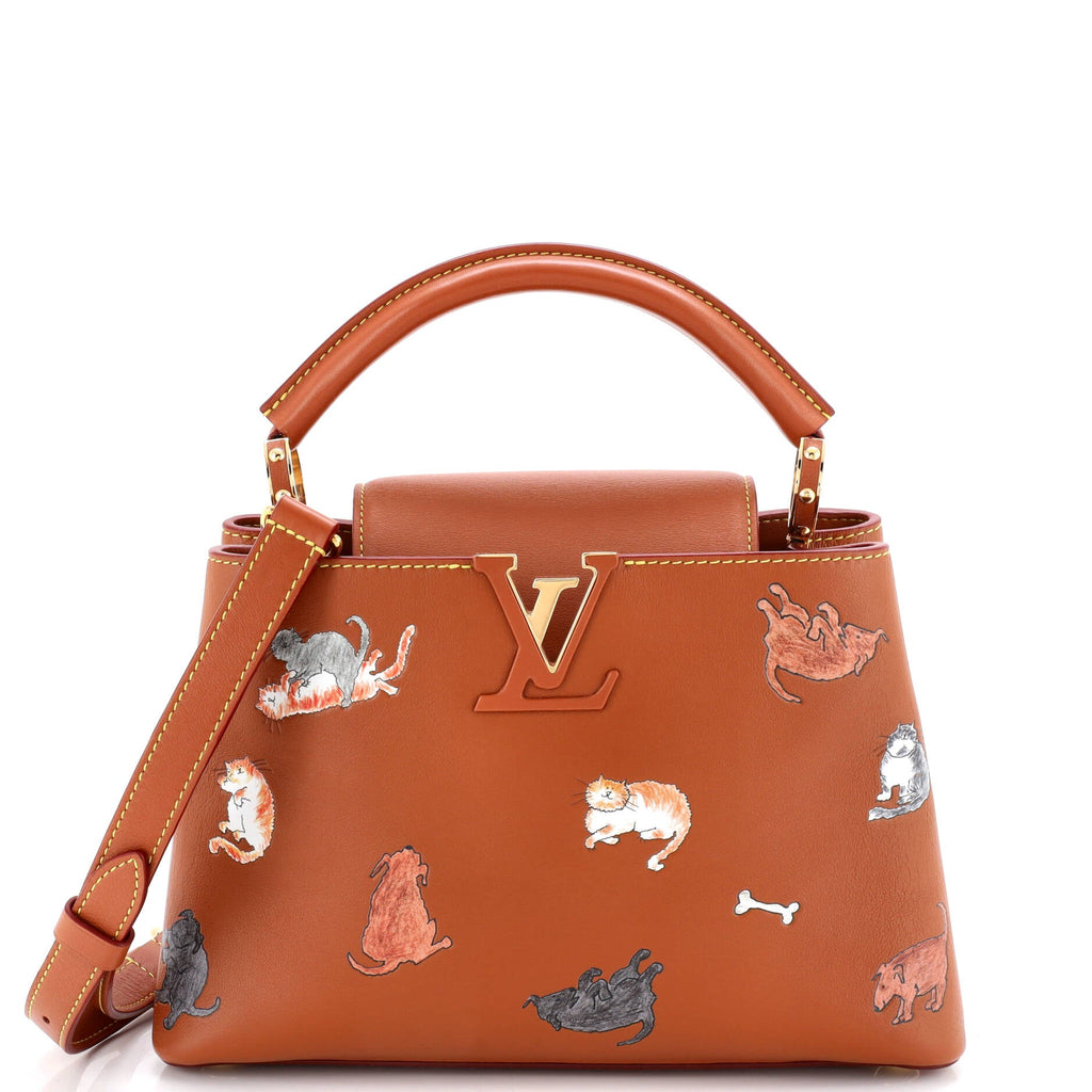 Capucines Bag Limited Edition Grace Coddington Catogram Calfskin BB