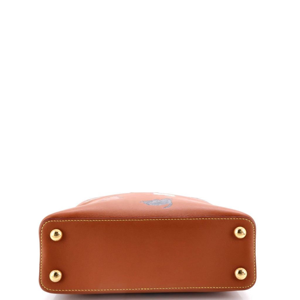 Capucines Bag Limited Edition Grace Coddington Catogram Calfskin BB