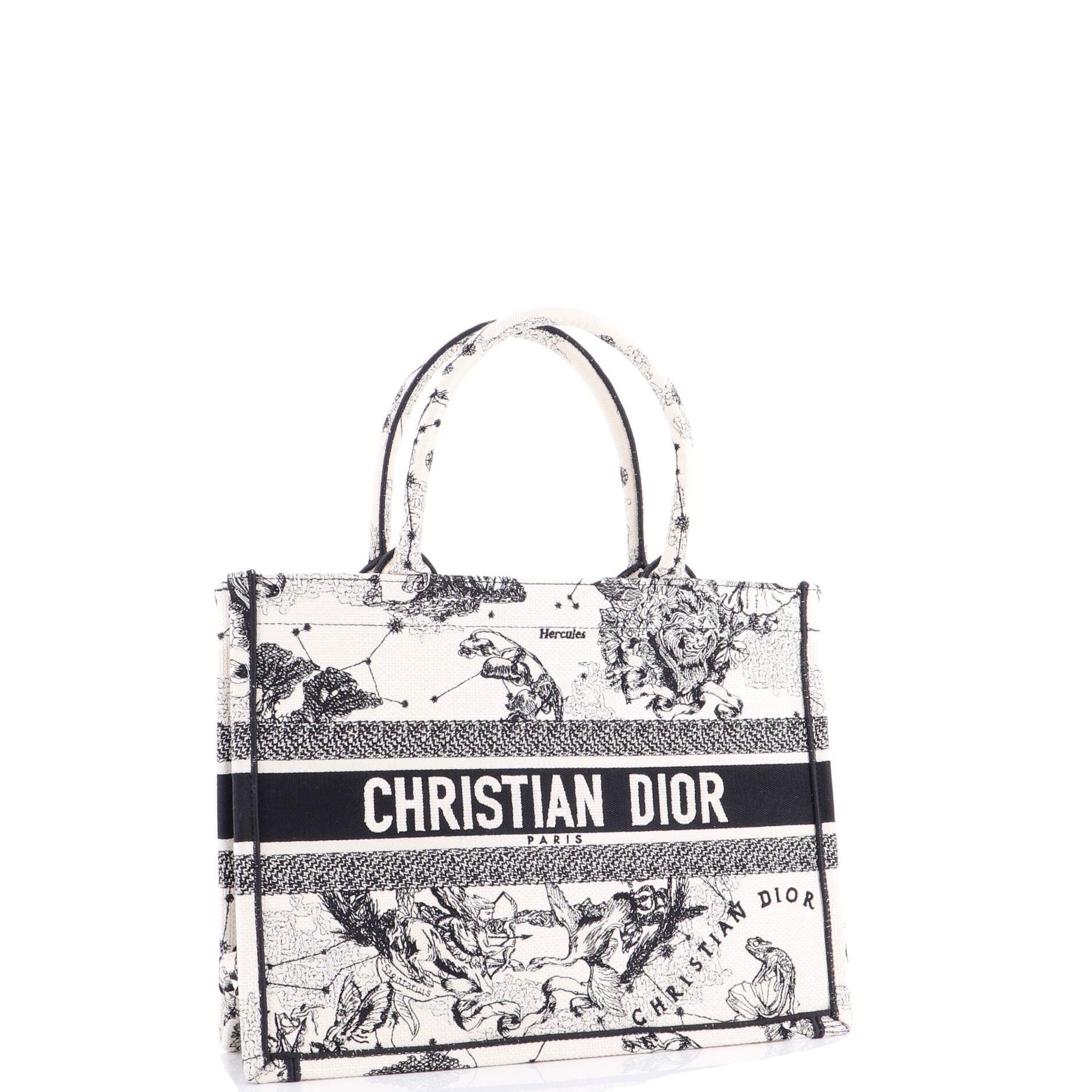 Book Tote Embroidered Canvas Medium