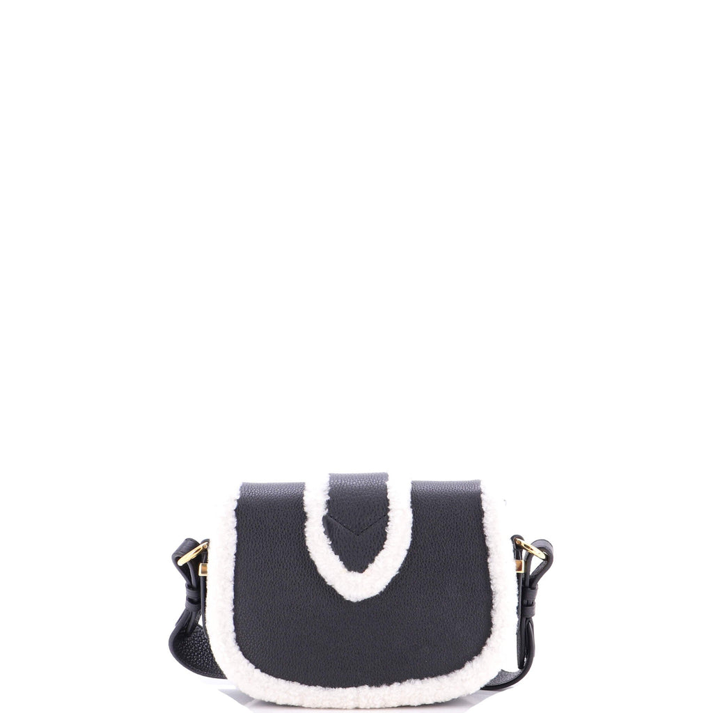 LV Pont 9 Soft Bag Leather and Shearling PM