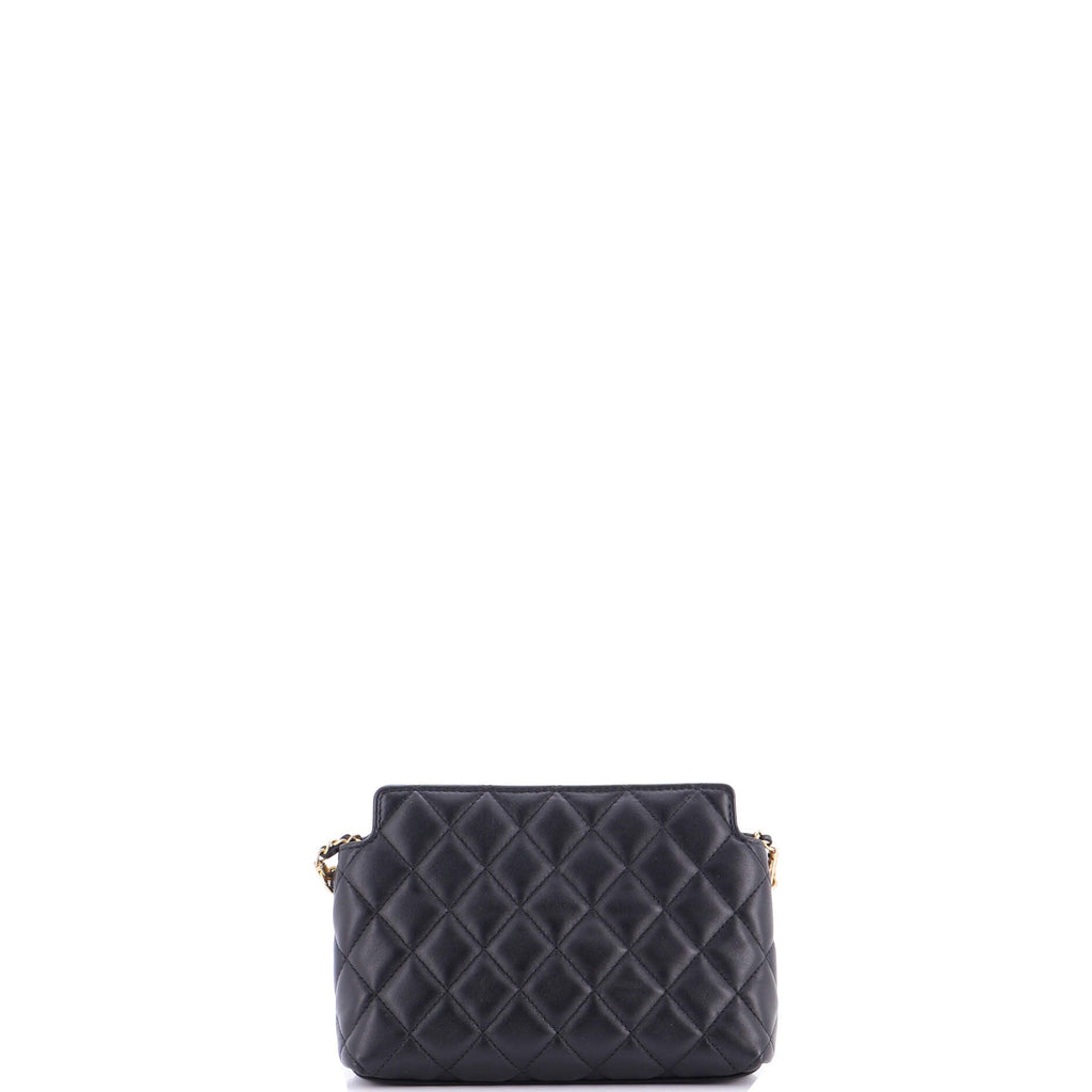 CC Leo Lion Hobo Clutch with Chain Quilted Leather Small