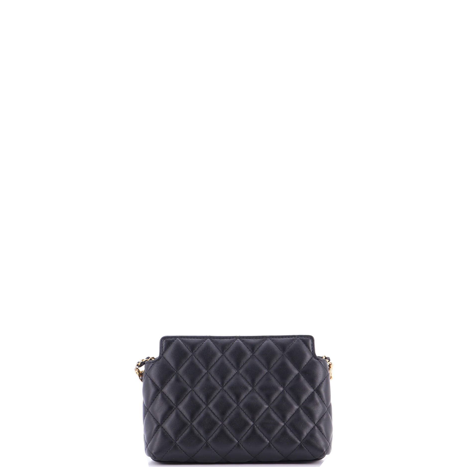 CC Leo Lion Hobo Clutch with Chain Quilted Leather Small