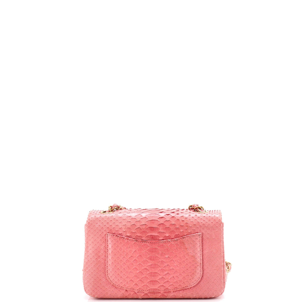 Classic Single Flap Bag Python Mini