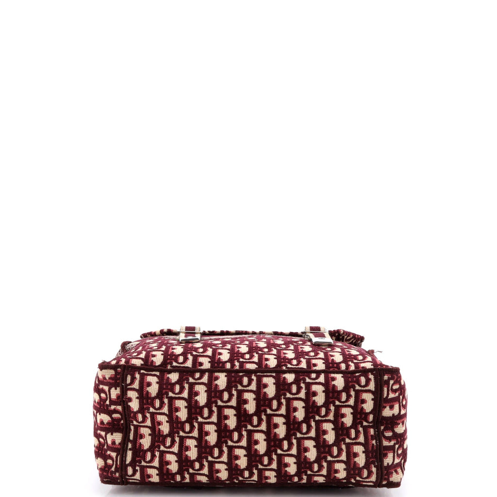 Diorcamp Messenger Bag Oblique Canvas
