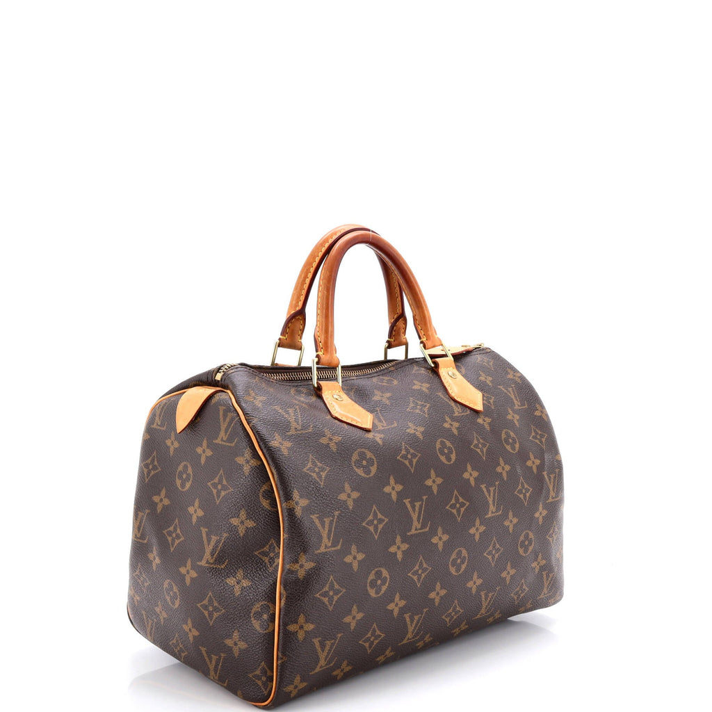 Speedy Handbag Monogram Canvas 30