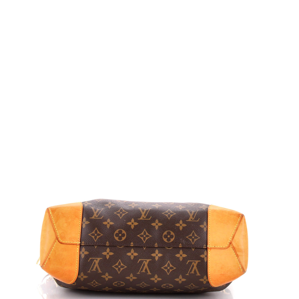 Berri Handbag Monogram Canvas PM