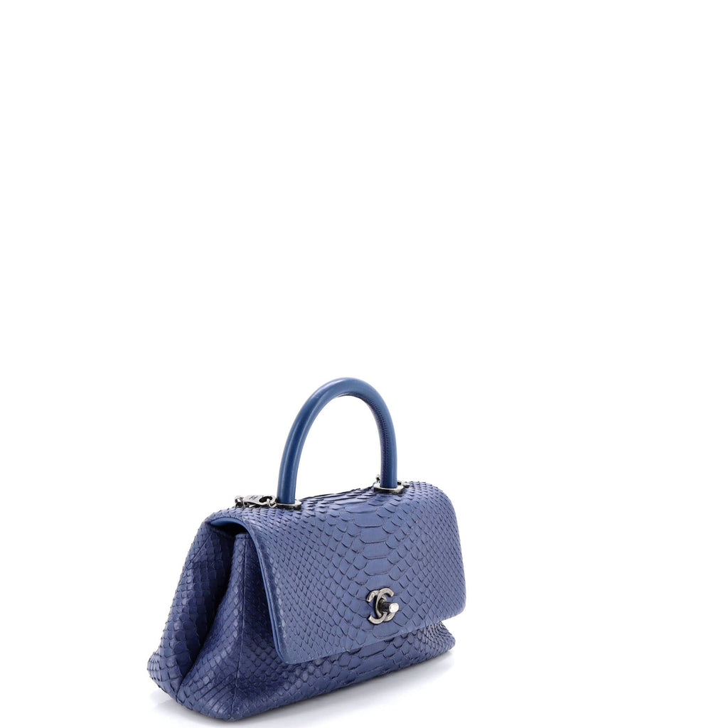 Coco Top Handle Bag Python Mini