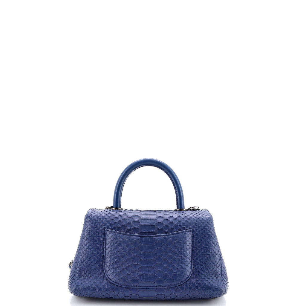 Coco Top Handle Bag Python Mini