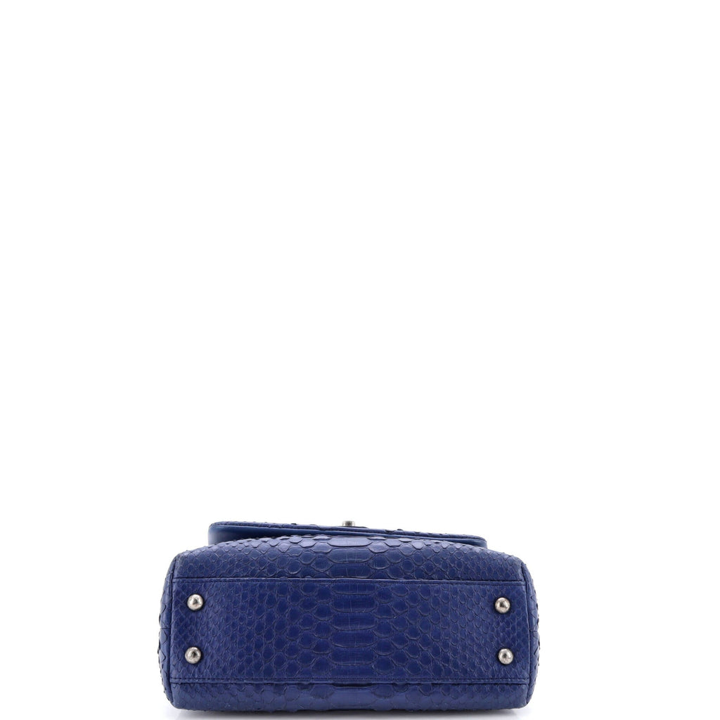 Coco Top Handle Bag Python Mini
