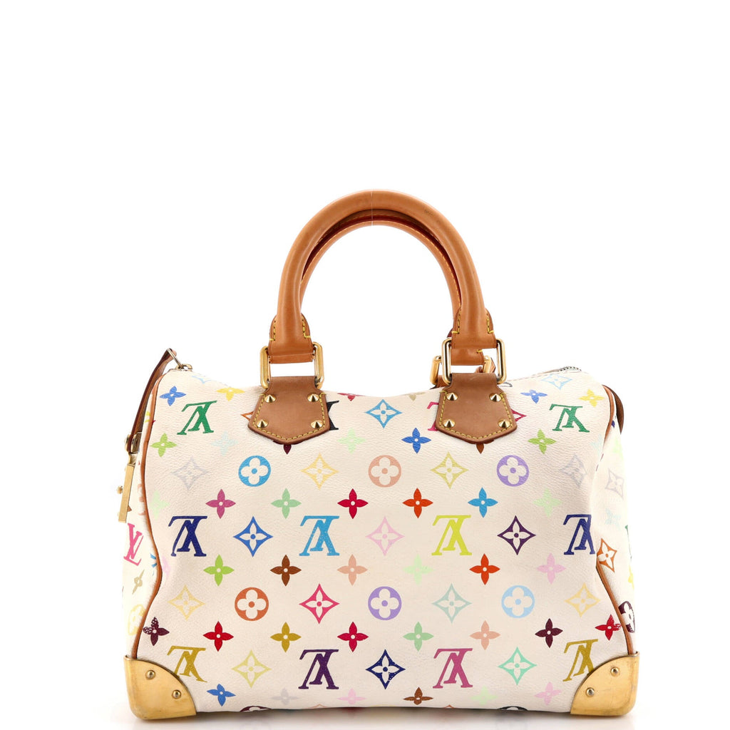 Speedy Handbag Monogram Multicolor 30