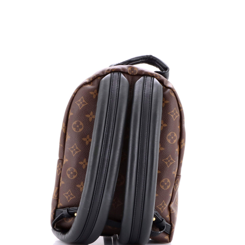 Palm Springs Backpack Monogram Canvas PM